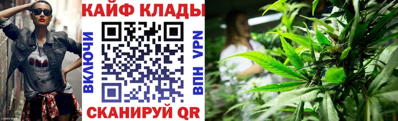 Купить наркоту Кашира МАРИХУАНА  Меф  Экстази  ГАШИШ  Cocaine  А ПВП  Галлюциногенные грибы 