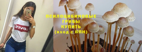 ECSTASY Новодвинск