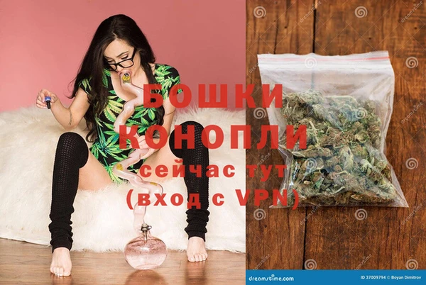 спайс Нея