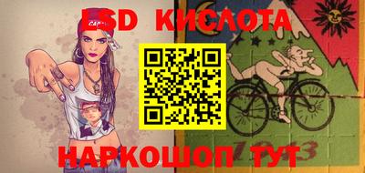 СК Волгодонск