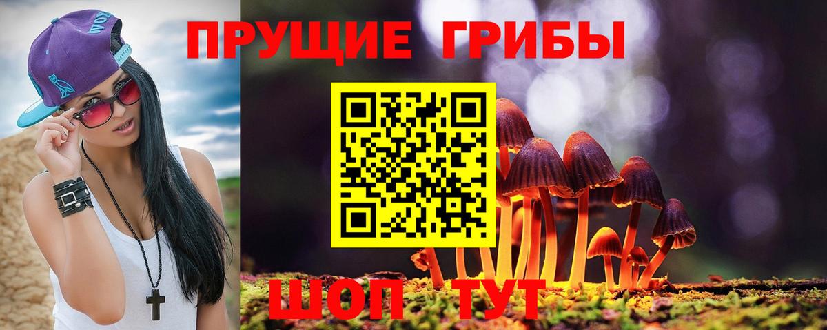 Кашира  Псилоцибиновые грибы прущие грибы  Вход с VPN 